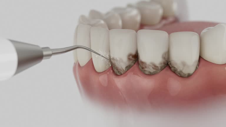 Reliable Dental contractor in Flat Rock, MI by Dentist Open Now